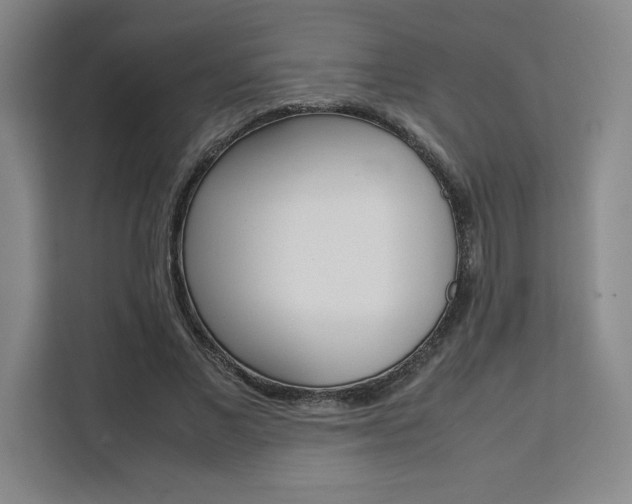 X0000111450685200907131041
