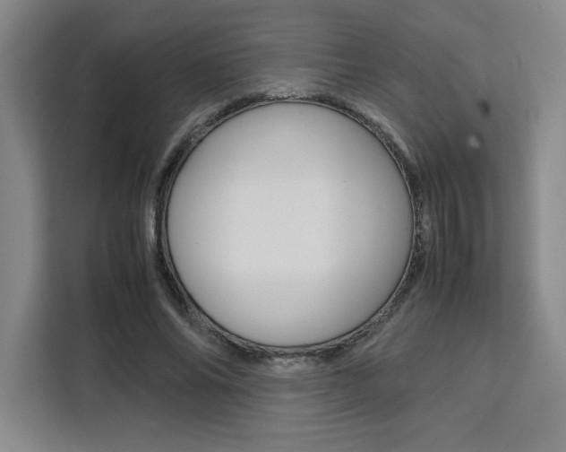 X0000111450686200907131041