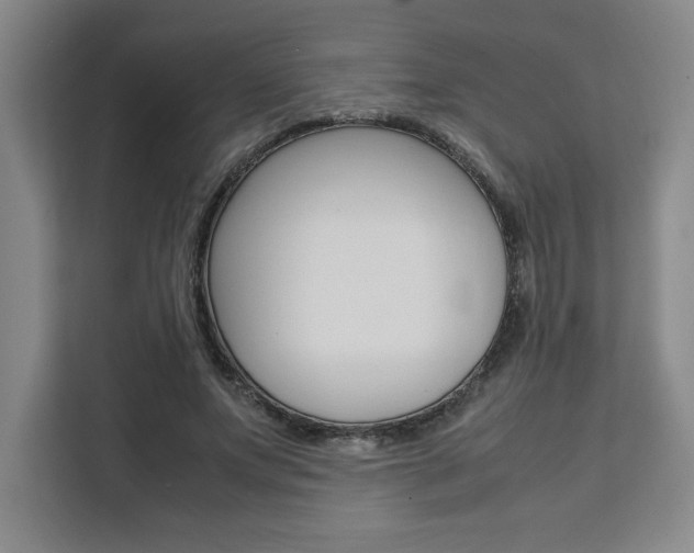 X0000111450687200907131041