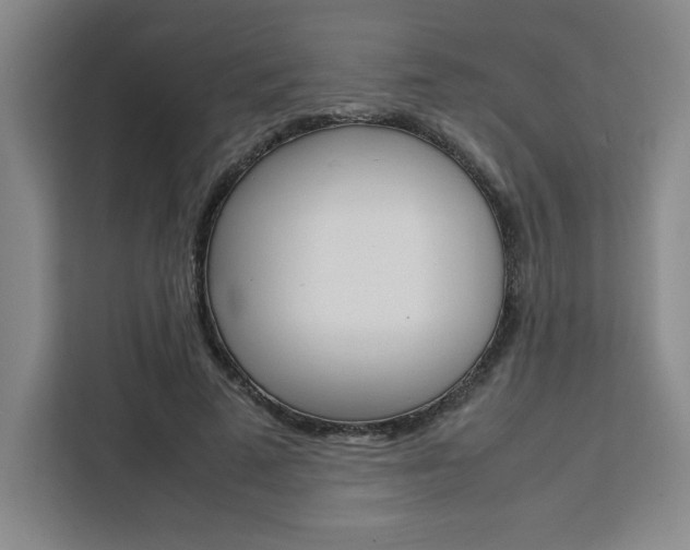 X0000111450689200907131041