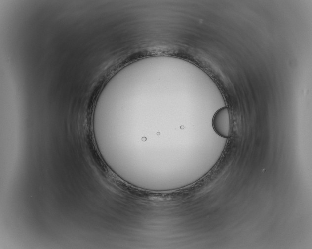 X0000111450690200907131041