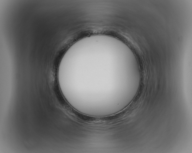X0000111450691200907131041