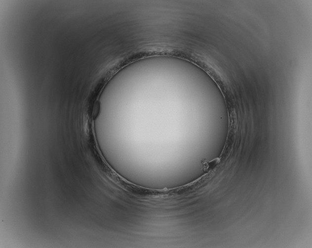 X0000111450692200907131041