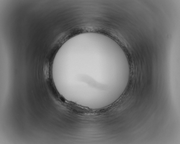 X0000111450694200907131041