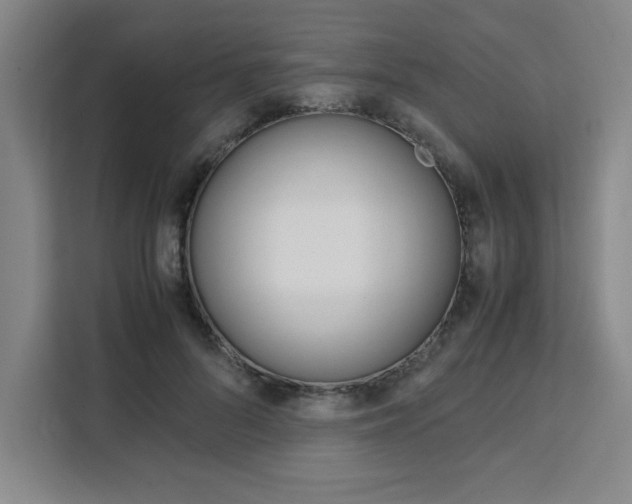 X0000111450696200907131041