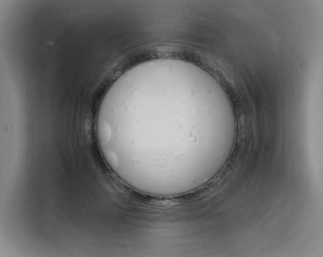 X0000111450698200907131041