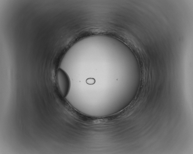 X0000111450700200907131041