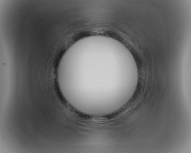 X0000111450707200907131041