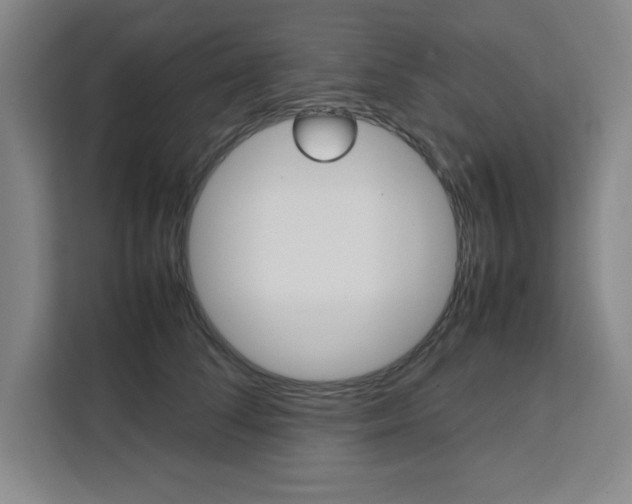 X0000111450708200907131041