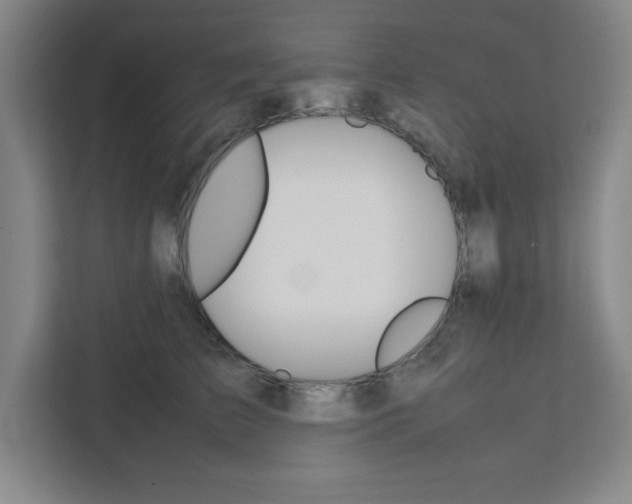 X0000111450709200907131041