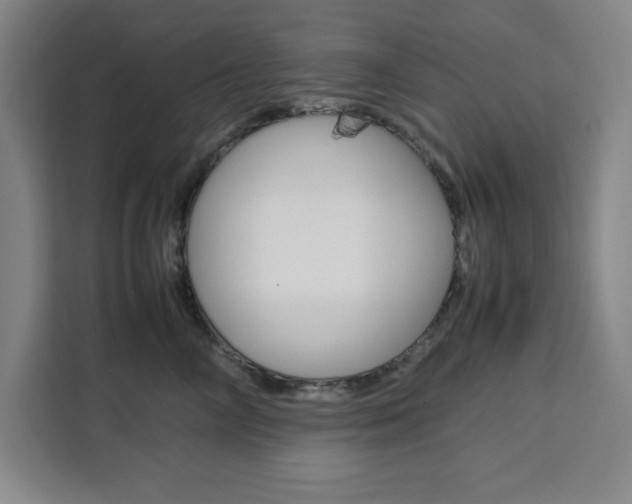 X0000111450714200907131041