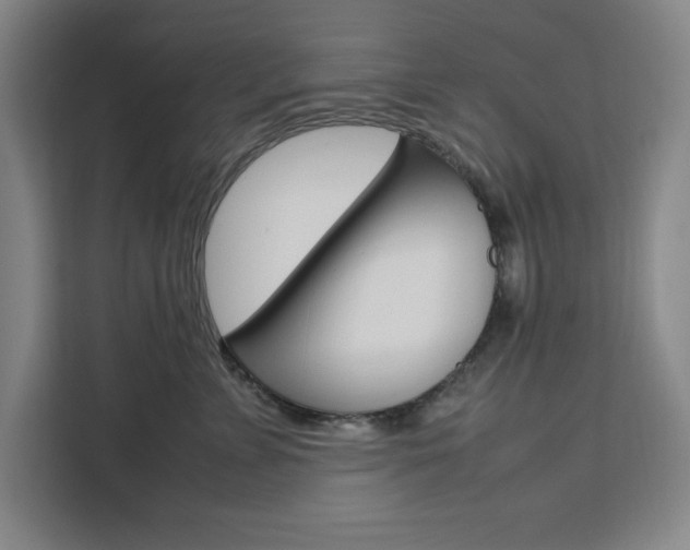 X0000111450715200907131041