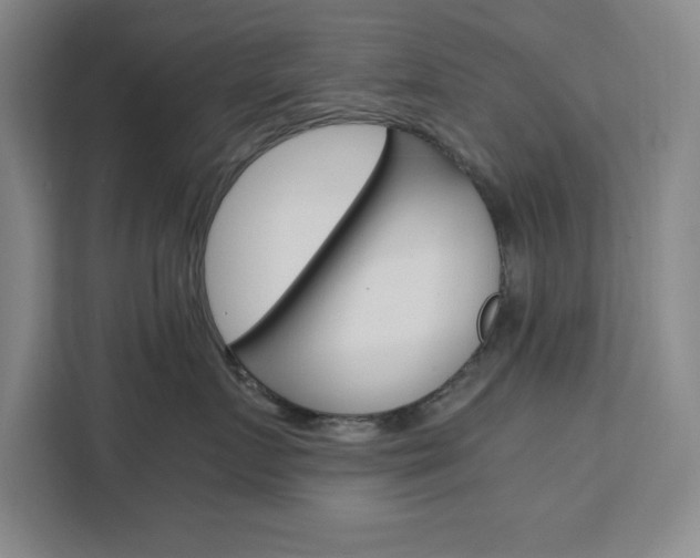 X0000111450719200907131041