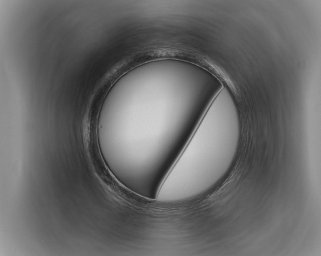 X0000111450722200907131040