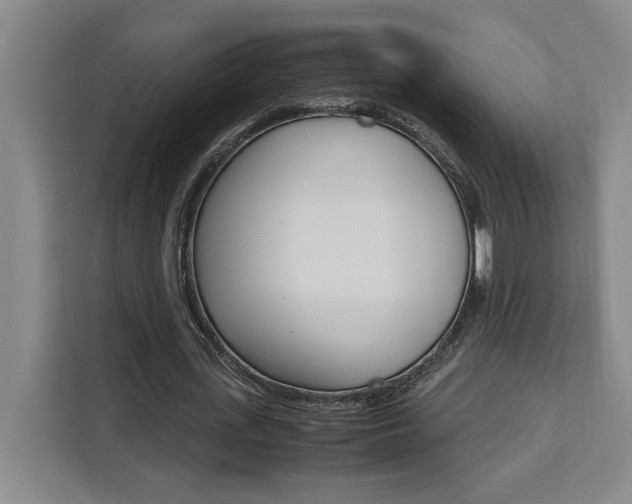 X0000111450723200907131040