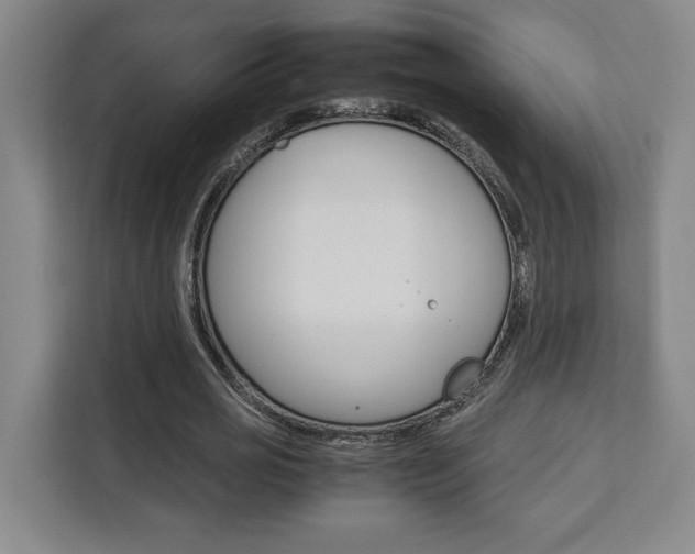 X0000111450725200907131040