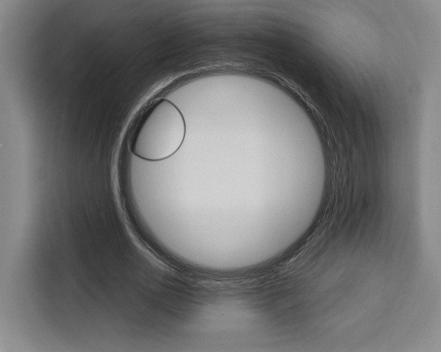 X0000111450726200907131040