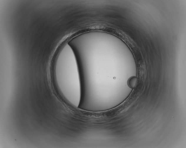 X0000111450727200907131040