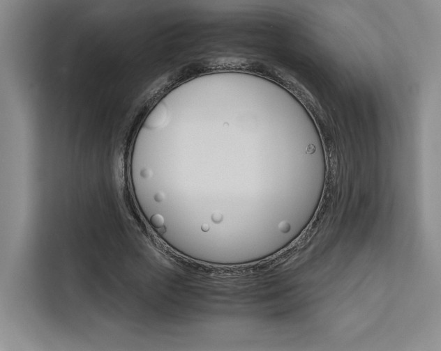 X0000111450729200907131040