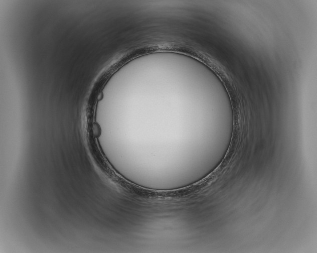 X0000111450730200907131040