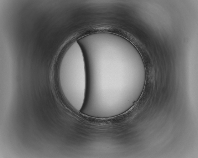 X0000111450731200907131040