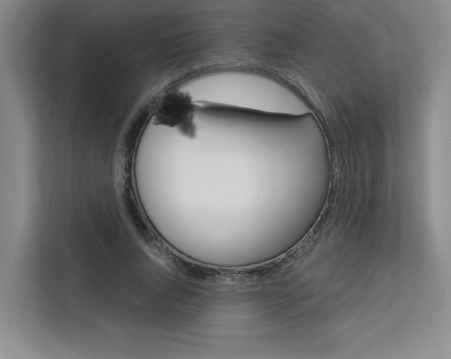 X0000111450736200907131040