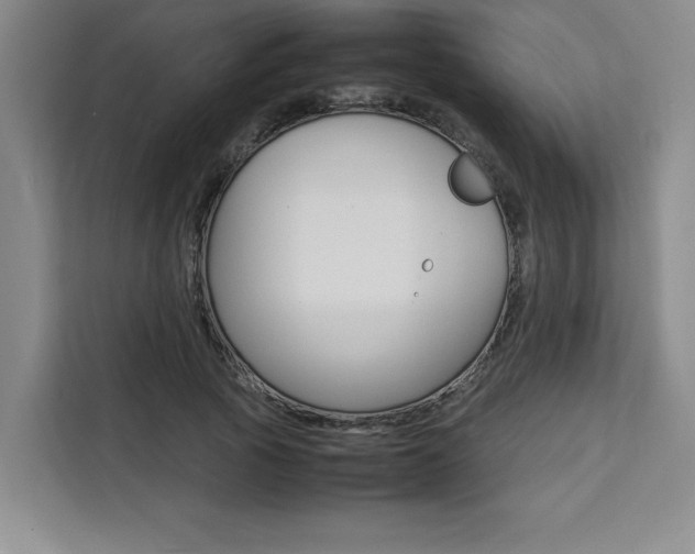 X0000111450737200907131040