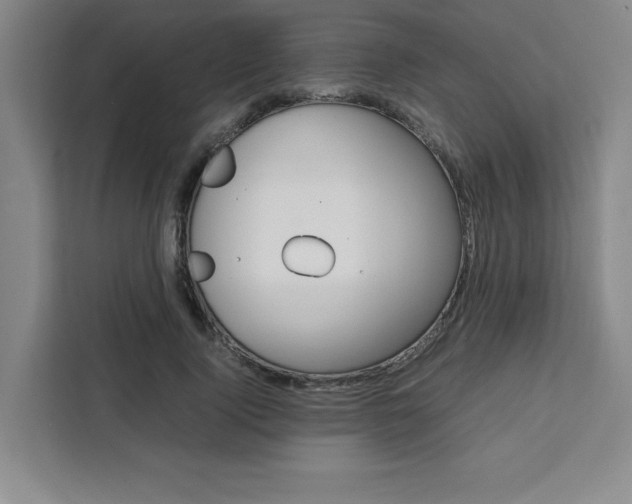 X0000111450740200907131040