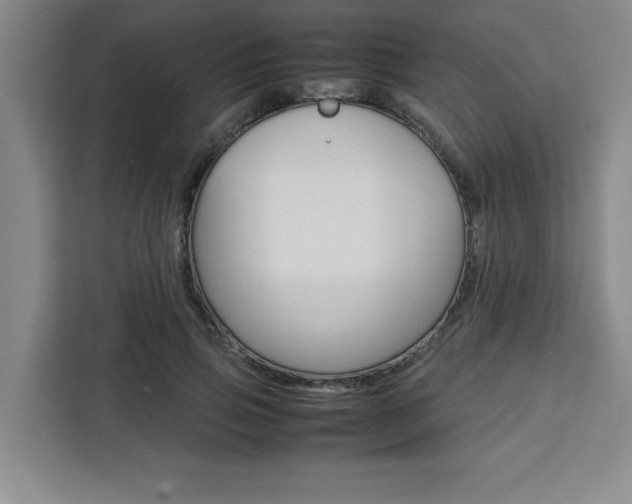 X0000111450741200907131040