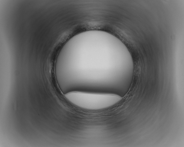 X0000111450742200907131040