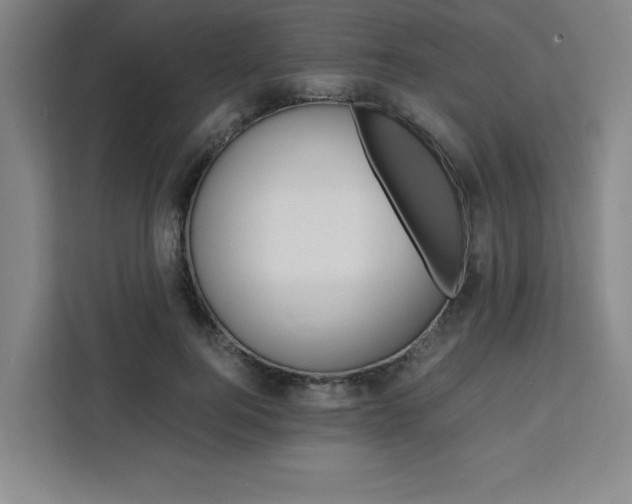 X0000111450744200907131040