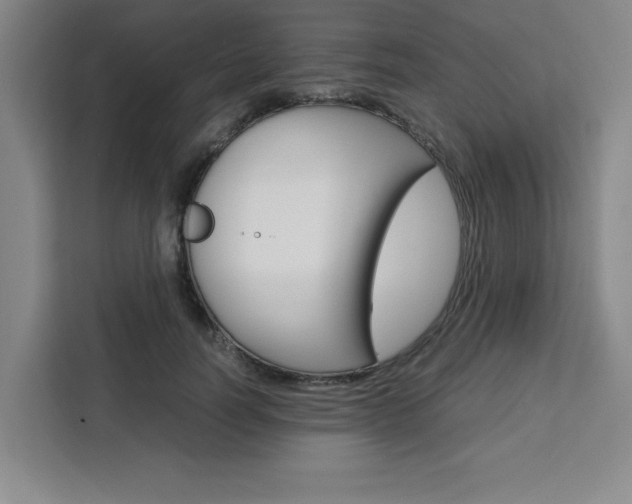 X0000111450746200907131040