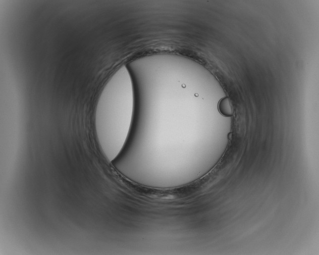 X0000111450747200907131040
