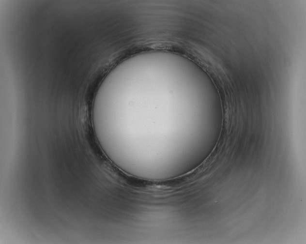 X0000111450748200907131040