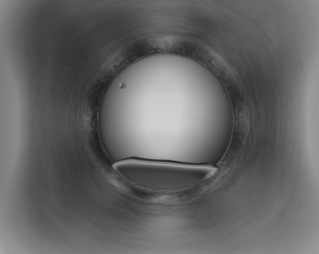 X0000111450750200907131040