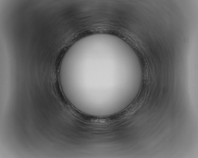 X0000111450751200907131040