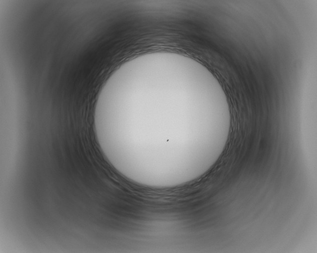 X0000111450752200907131040