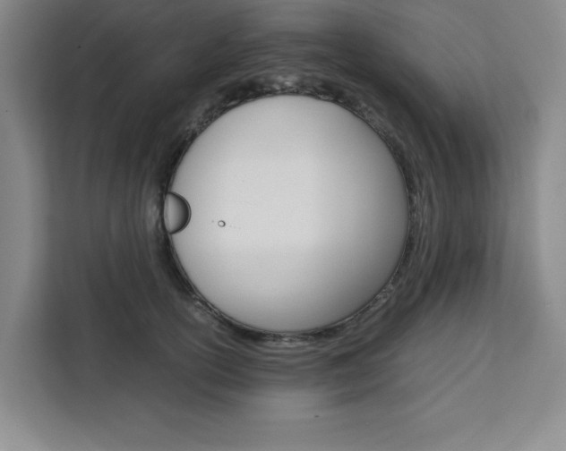 X0000111450754200907131040