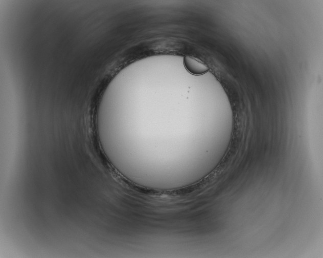 X0000111450755200907131041