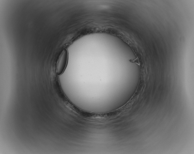 X0000111450756200907131041