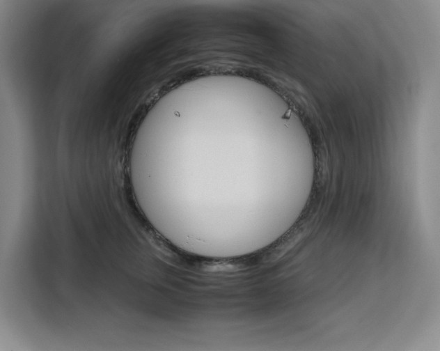X0000111450759200907131041