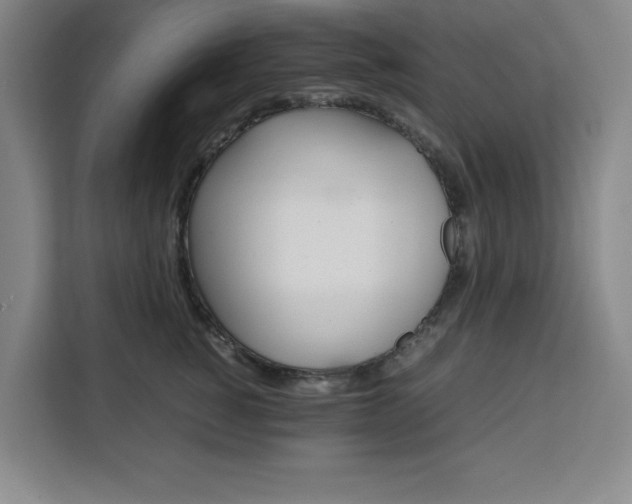 X0000111450760200907131041