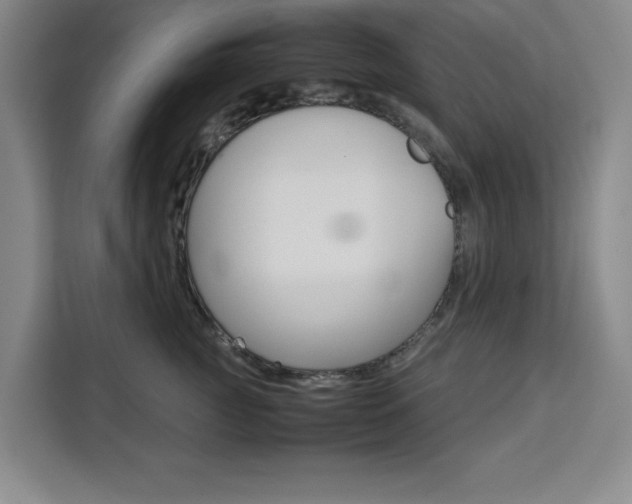 X0000111450761200907131041