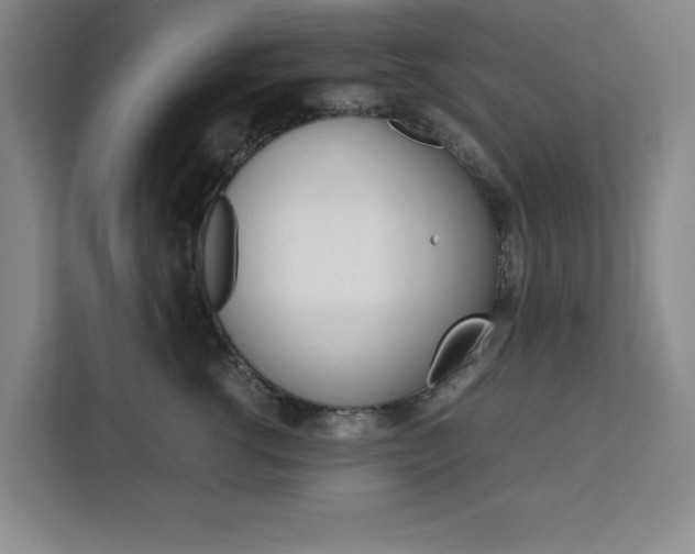 X0000111450762200907131041