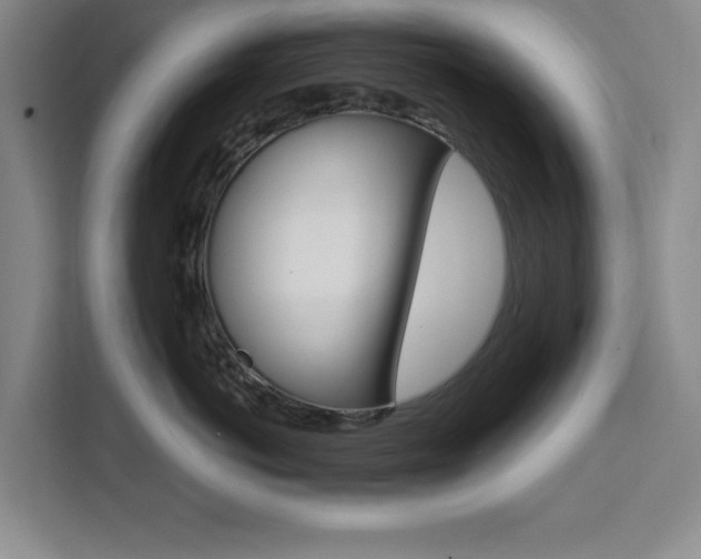 X0000111450766200907131041