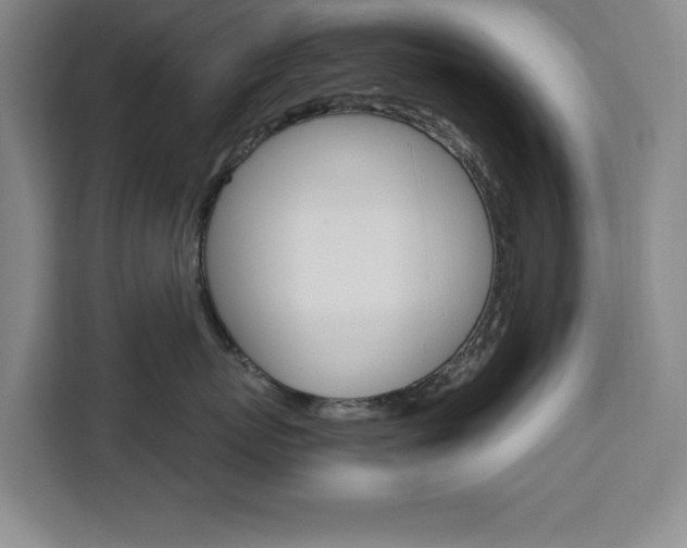 X0000111450767200907131041