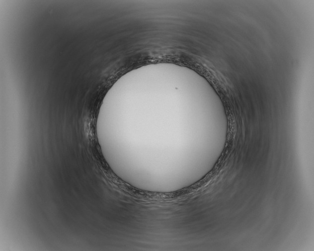 X0000111450770200907131040