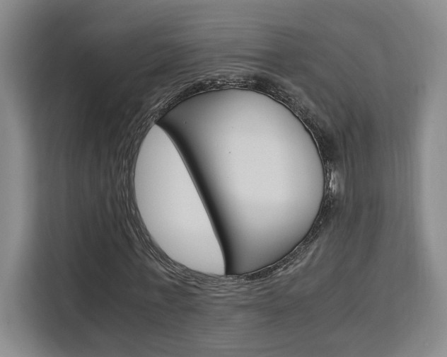 X0000111450771200907131040