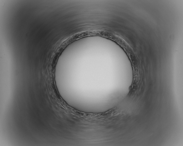 X0000111450773200907131040