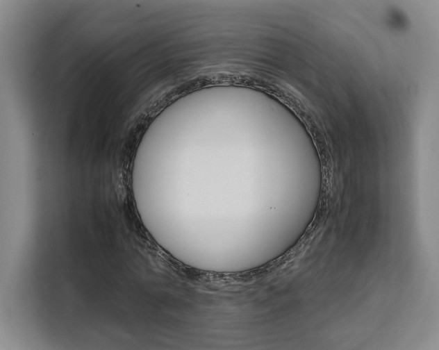 X0000111450774200907131040
